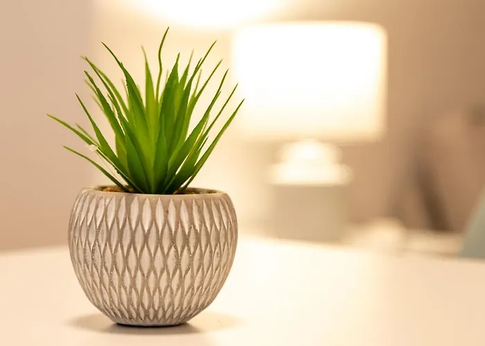 Cute And Comfy By Cisan