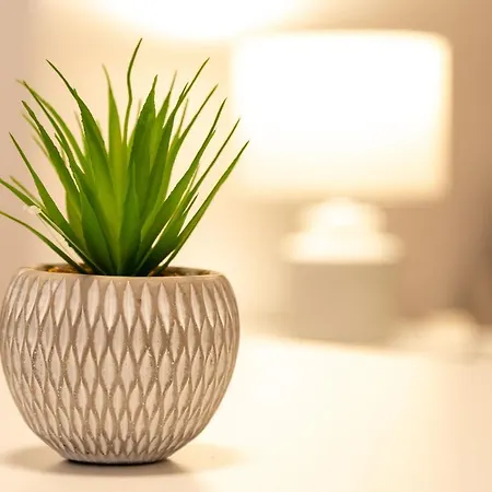 Cute And Comfy By Cisan